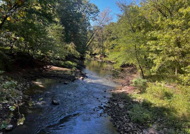 Cache River